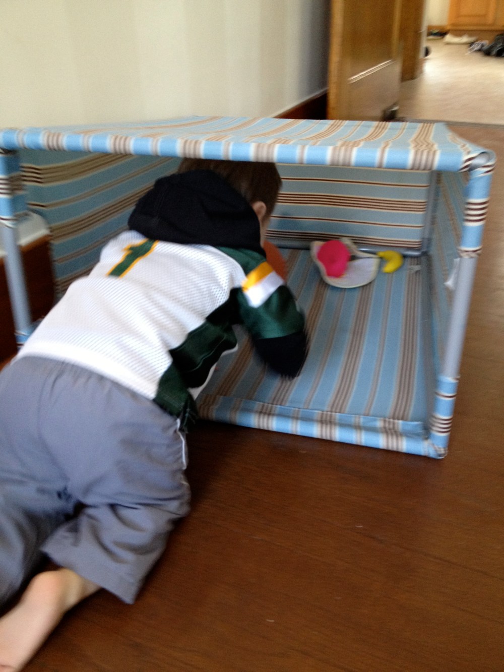 Playing in the hamper... cheap entertainment.