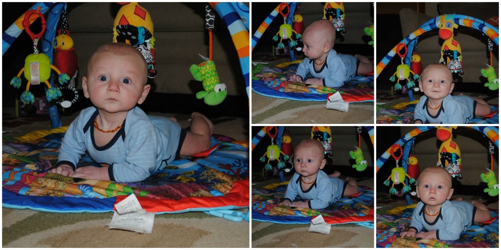 PicMonkey Collage month 4