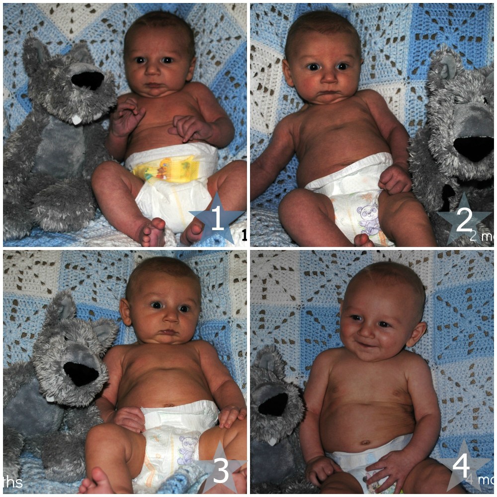 PicMonkey Collage 1-4