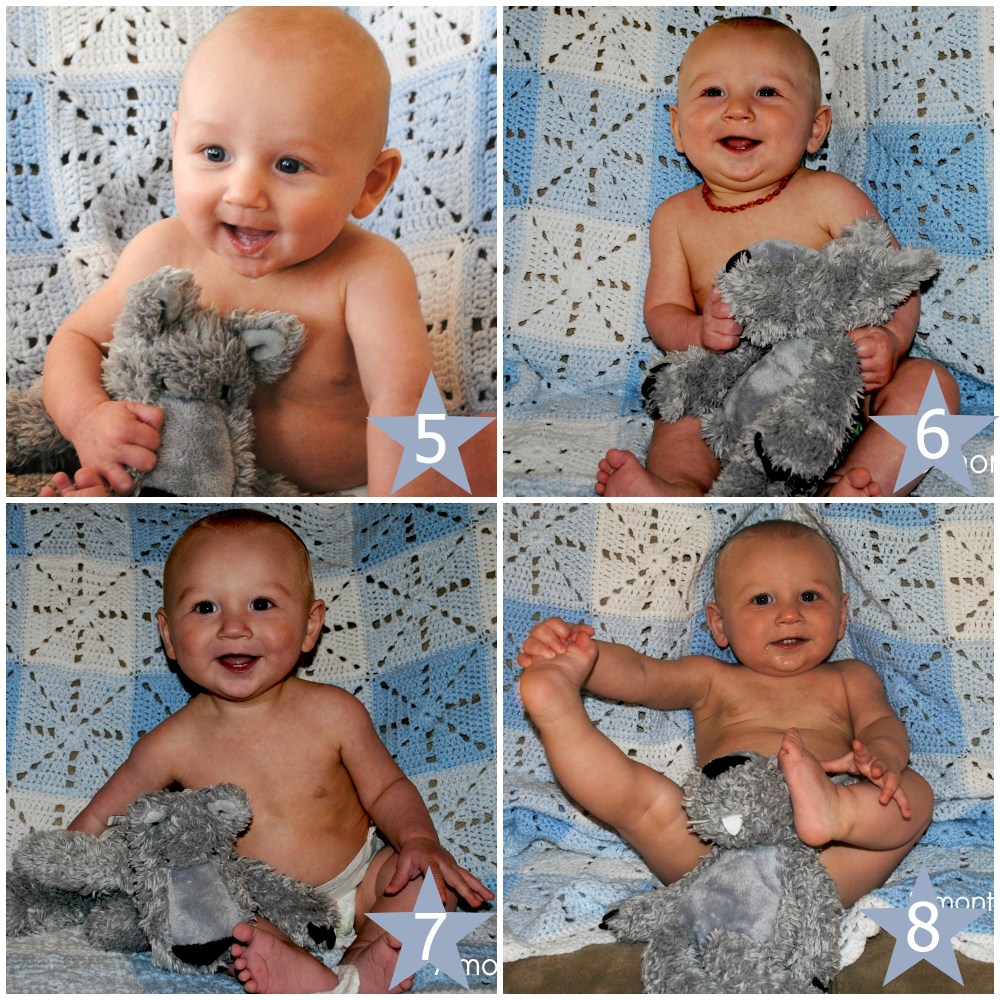 PicMonkey Collage 5-8